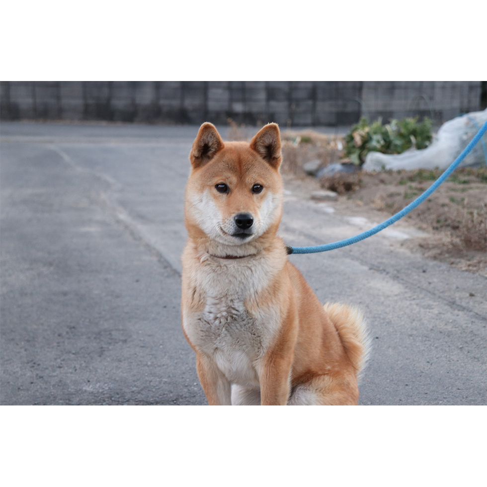 ニックネーム／KgPTさん